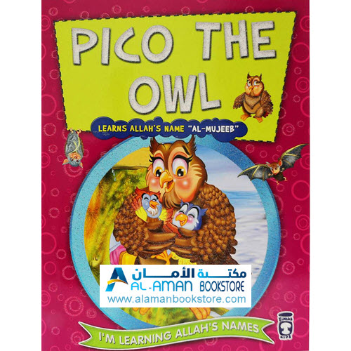 Arabic Bookstore in USA- I am learning Allah's Name - Set 2 - 99 names of Allah- Pico the Owl - Al-Mujeeb