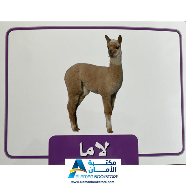 Arabic Bookstore in USA - Learing Arabic Flash Cards - Farm's Animals - بطاقات تعليمية - حيوانات المزرعة - مكتبة عربية في أمريكا
