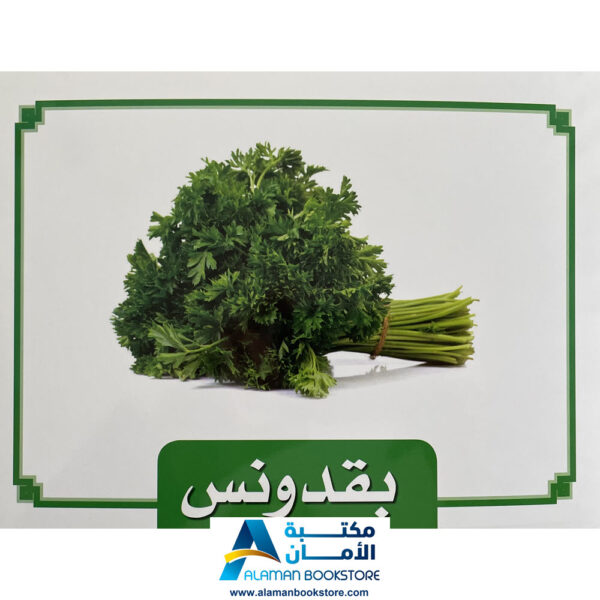 Arabic Bookstore in USA - Learing Arabic Flash Cards - Vegetables - بطاقات تعليمية - الخضروات - مكتبة عربية في أمريكا