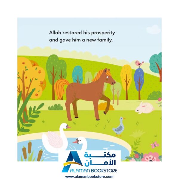 THE STORY OF PROPHET AYYUB BOARD BOOK - Prophets Stories - Arabic Bookstore - Islamic Bookstore