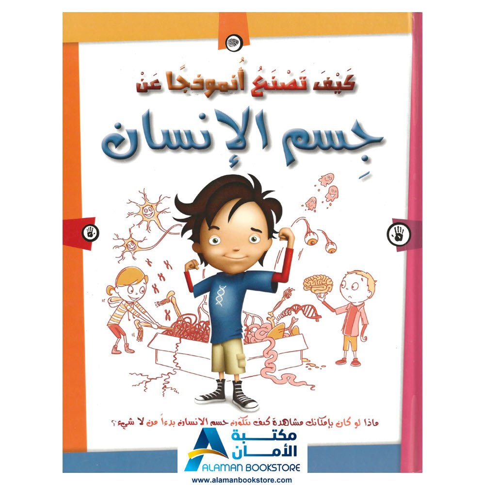 كيف تصنع انموذجا عن جسم الانسان-How to build human body model